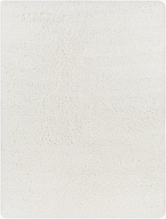 Bogota Shag BTG-2300 6' x 9' Machine Woven Area Rug