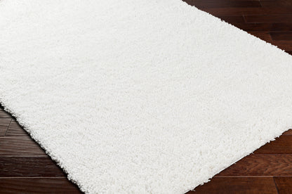 Bogota Shag BTG-2300 6' x 9' Machine Woven Area Rug