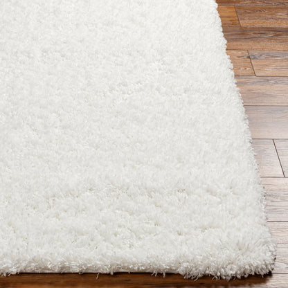 Bogota Shag BTG-2300 6' x 9' Machine Woven Area Rug