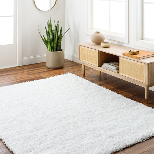 Bogota Shag BTG-2300 6' x 9' Machine Woven Area Rug