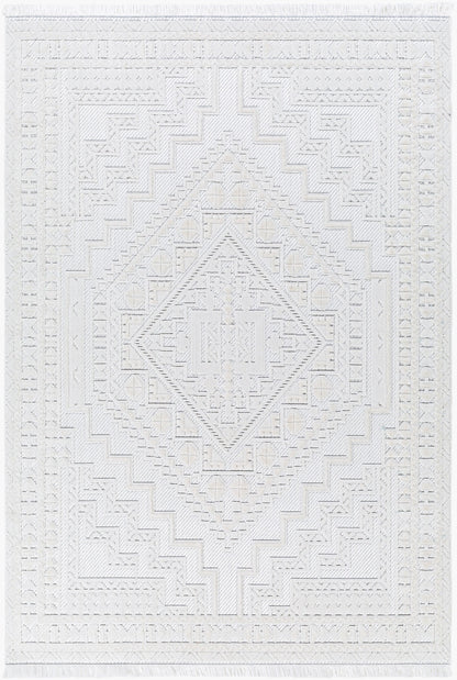 Broadway BWY-2300 6' x 9' Machine Woven Area Rug