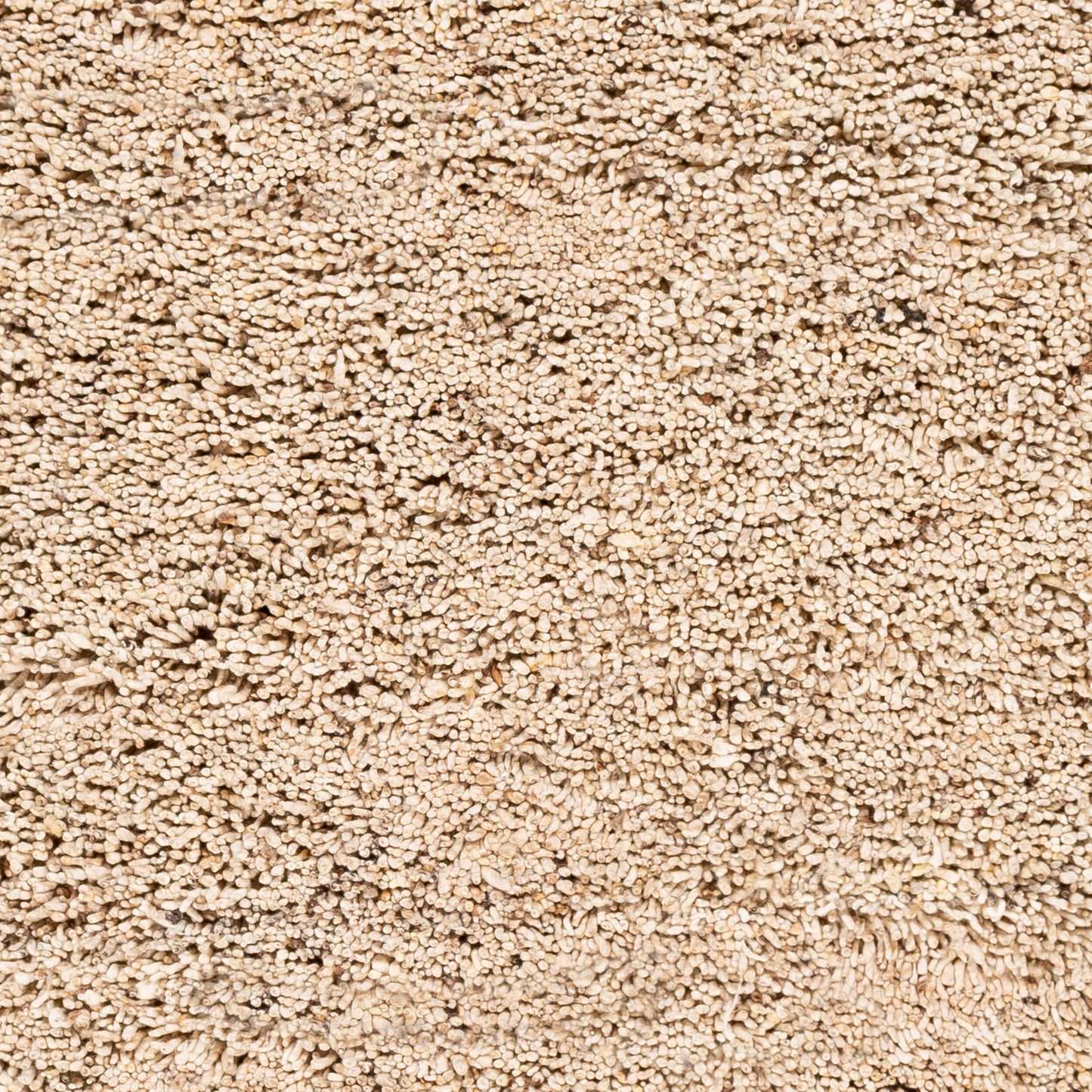 Bexley BXL-1000 5' x 7' Handmade Wool Area Rug