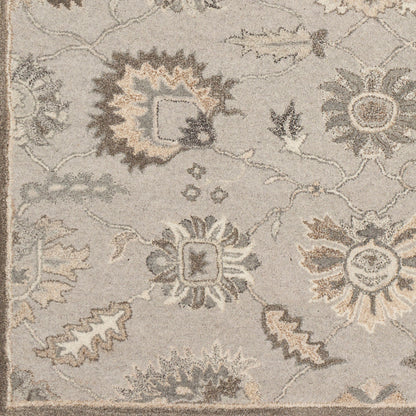Caesar CAE-1198 6' x 9' Oval Handmade Wool Area Rug