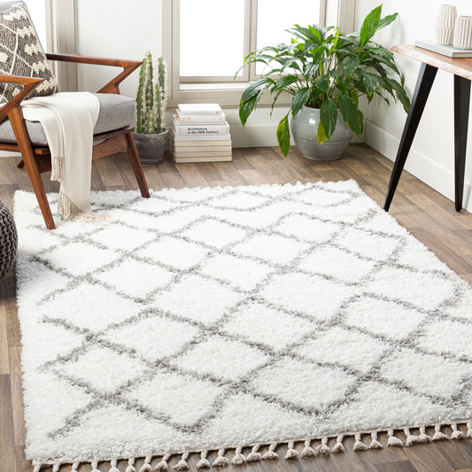 California Shag CAF-2301 5' x 7' Machine Woven Area Rug