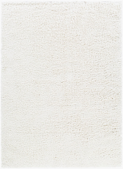 California Shag CAF-2306 5' x 7' Machine Woven Area Rug
