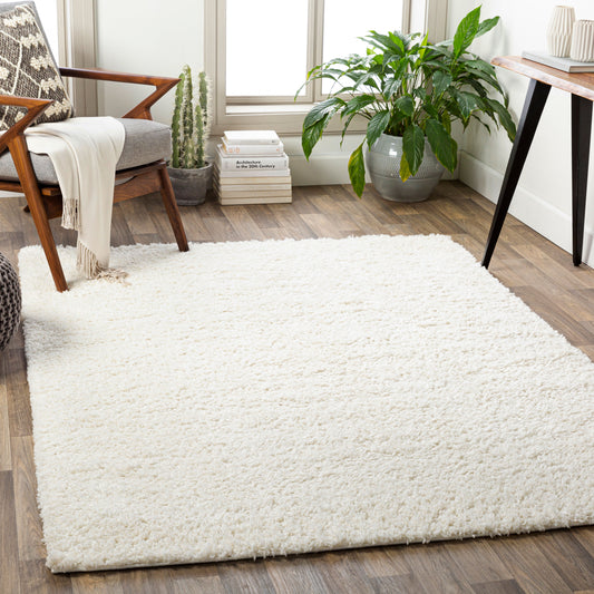 California Shag CAF-2306 5' x 7' Machine Woven Area Rug
