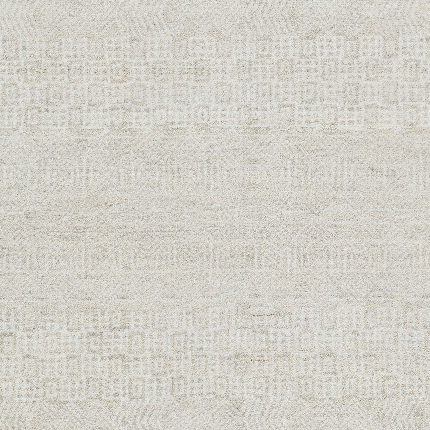 Alfombra decorativa de lana hecha a mano Claude CAU-1005 de 2' x 3'