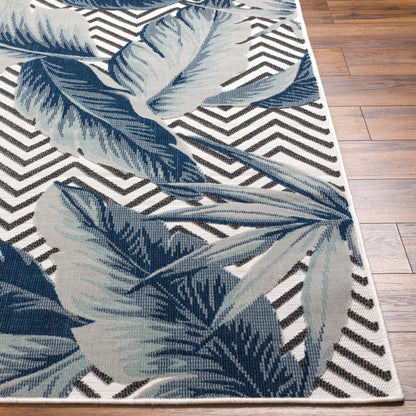 Cabo CBO-2305 7ft Runner Machine Woven Indoor/Outdoor Runner Rug