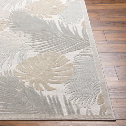 Cabo CBO-2311 2' x 3' Machine Woven Indoor/Outdoor Accent Rug