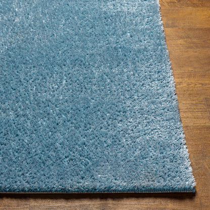 Cloudy Shag CDG-2305 5' x 7' Machine Woven Area Rug