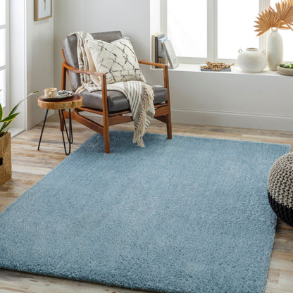 Cloudy Shag CDG-2305 5' x 7' Machine Woven Area Rug