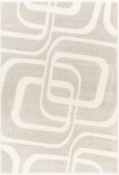 Cloudy Shag CDG-2309 5' x 7' Machine Woven Area Rug