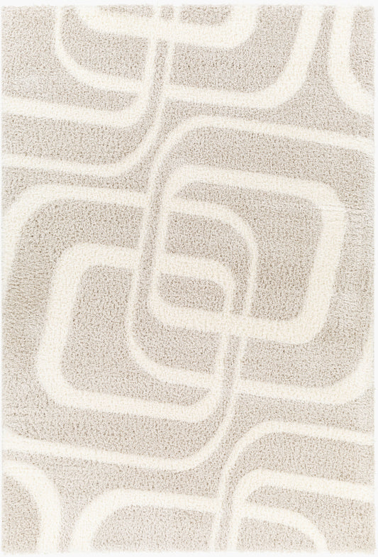Cloudy Shag CDG-2309 5' x 7' Machine Woven Area Rug