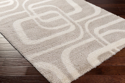 Cloudy Shag CDG-2309 5' x 7' Machine Woven Area Rug