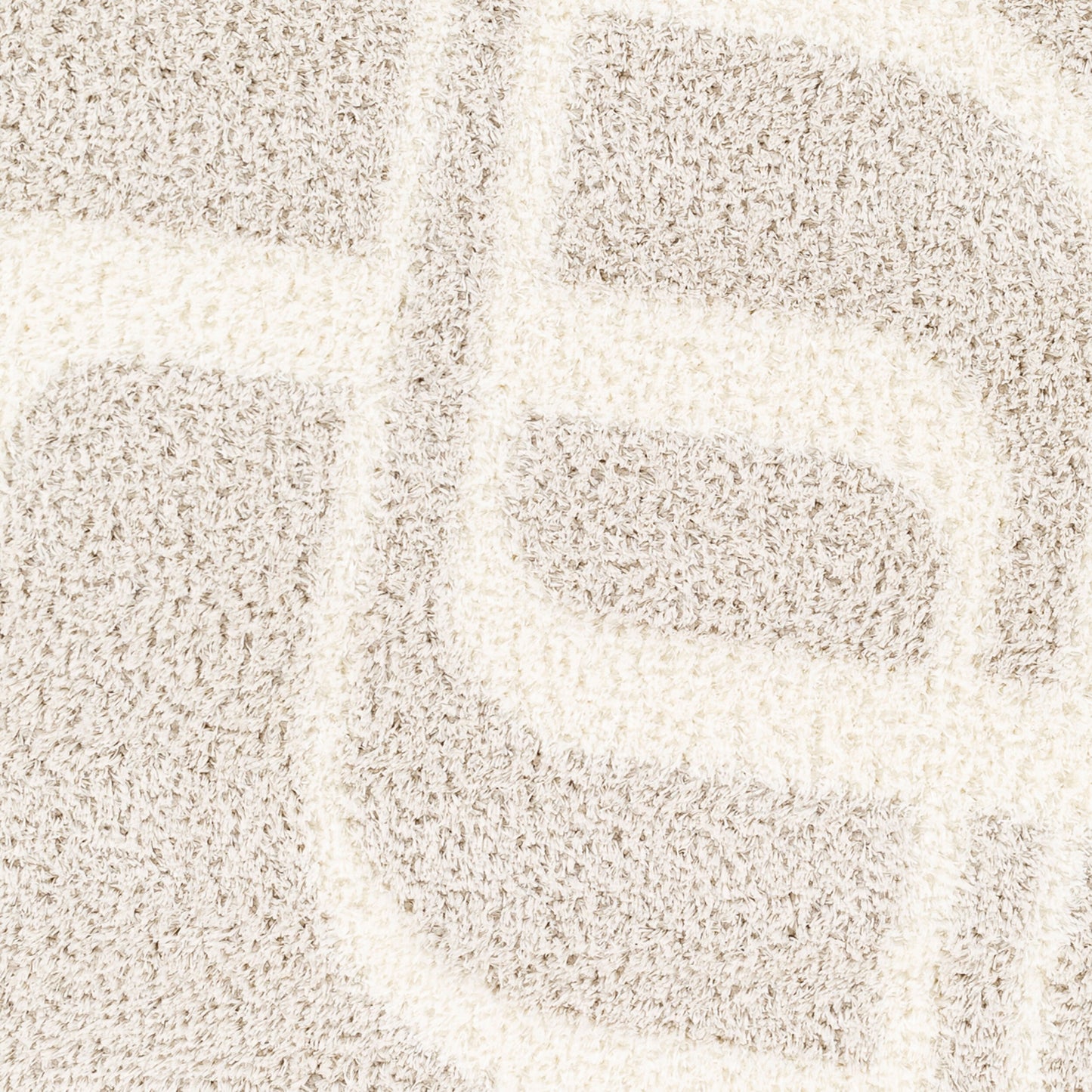 Alfombra tejida a máquina Cloudy Shag CDG-2309 de 8' x 10'