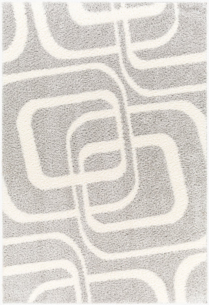 Cloudy Shag CDG-2310 6' x 9' Machine Woven Area Rug