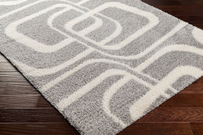 Cloudy Shag CDG-2310 6' x 9' Machine Woven Area Rug