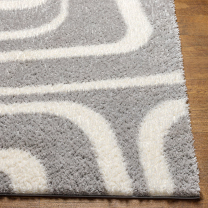 Cloudy Shag CDG-2310 6' x 9' Machine Woven Area Rug