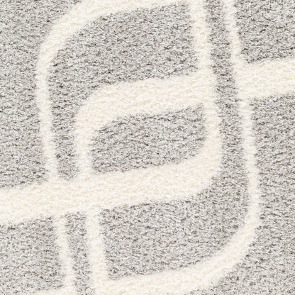 Alfombra tejida a máquina Cloudy Shag CDG-2310 de 8' x 10'