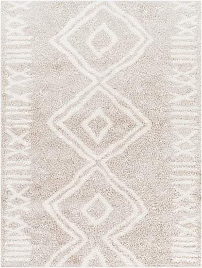 Alfombra tejida a máquina Cloudy Shag CDG-2311 de 1,52 m x 2,13 m