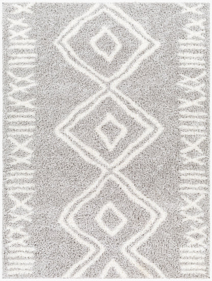 Cloudy Shag CDG-2312 5' x 7' Machine Woven Area Rug