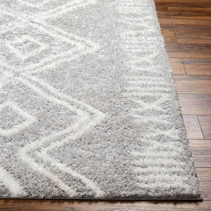 Cloudy Shag CDG-2312 5' x 7' Machine Woven Area Rug