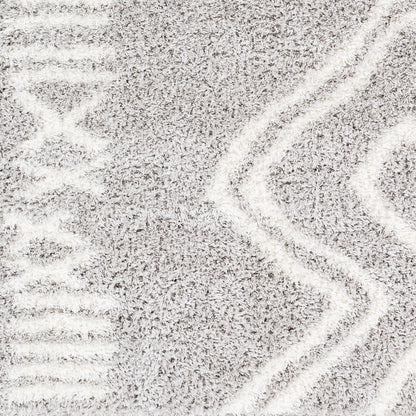 Cloudy Shag CDG-2312 5' x 7' Machine Woven Area Rug
