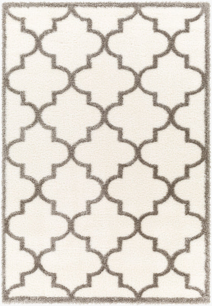 Cloudy Shag CDG-2314 5' x 7' Machine Woven Area Rug
