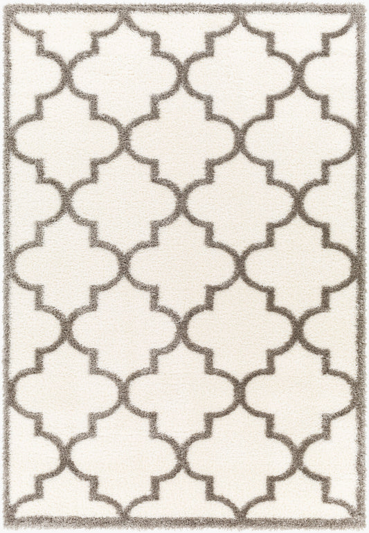 Cloudy Shag CDG-2314 5' x 7' Machine Woven Area Rug