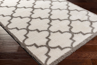 Cloudy Shag CDG-2314 5' x 7' Machine Woven Area Rug