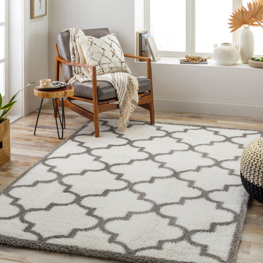 Cloudy Shag CDG-2314 5' x 7' Machine Woven Area Rug