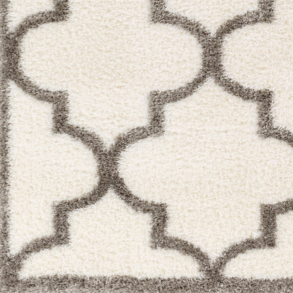 Cloudy Shag CDG-2314 5' x 7' Machine Woven Area Rug