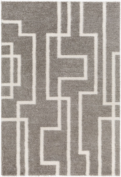 Cloudy Shag CDG-2315 5' x 7' Machine Woven Area Rug