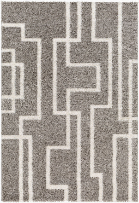 Cloudy Shag CDG-2315 5' x 7' Machine Woven Area Rug
