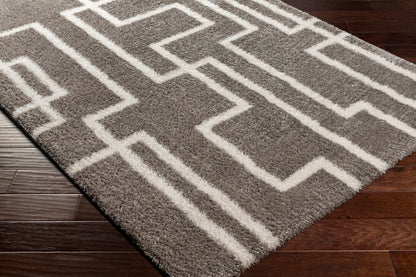 Cloudy Shag CDG-2315 5' x 7' Machine Woven Area Rug