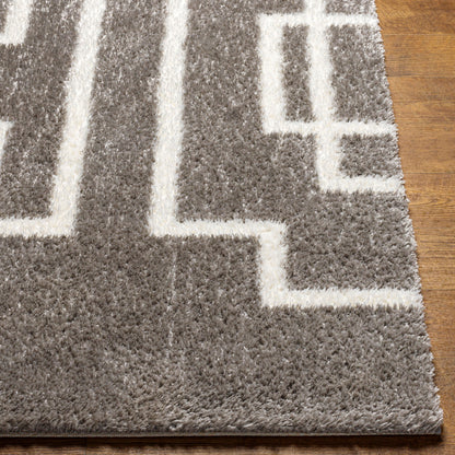 Cloudy Shag CDG-2315 5' x 7' Machine Woven Area Rug