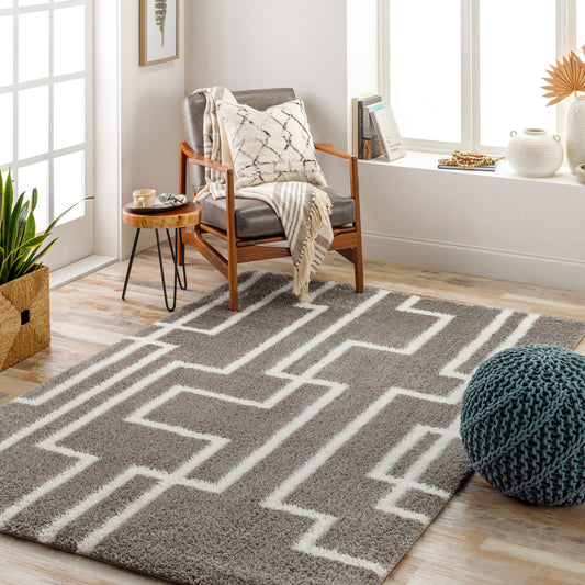 Cloudy Shag CDG-2315 5' x 7' Machine Woven Area Rug