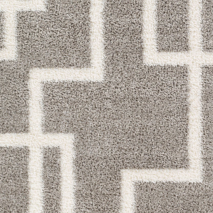 Cloudy Shag CDG-2315 5' x 7' Machine Woven Area Rug