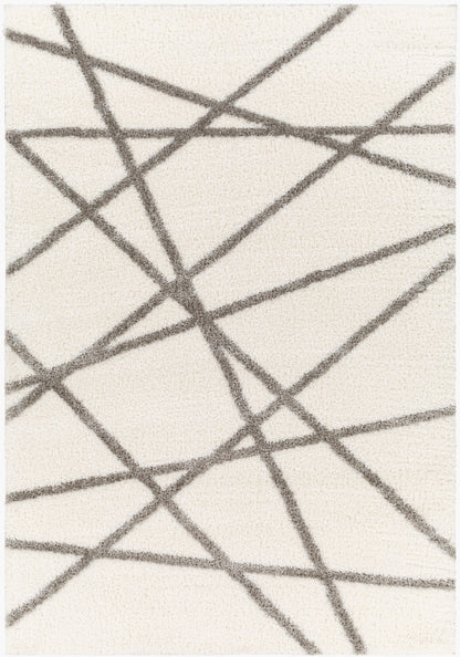 Cloudy Shag CDG-2316 6' x 9' Machine Woven Area Rug