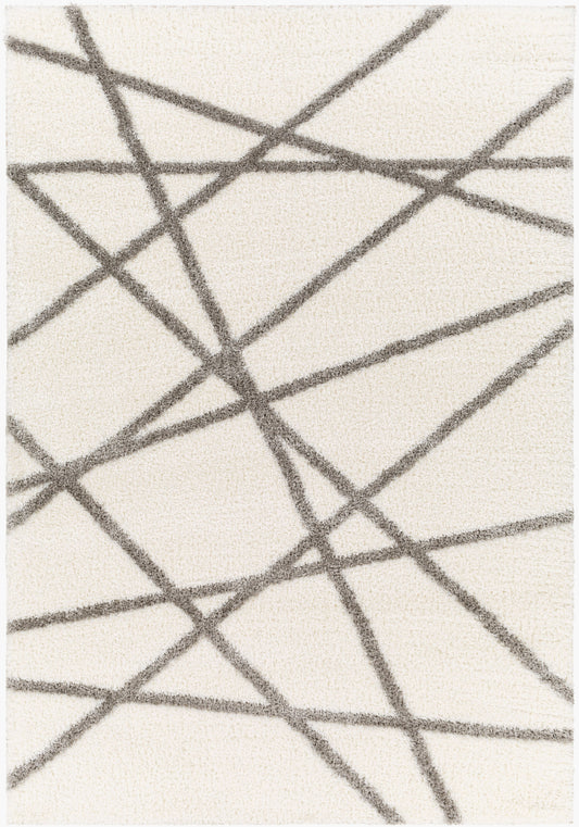 Cloudy Shag CDG-2316 5' x 7' Machine Woven Area Rug