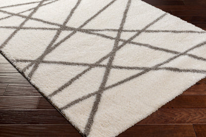 Cloudy Shag CDG-2316 6' x 9' Machine Woven Area Rug