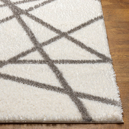 Cloudy Shag CDG-2316 6' x 9' Machine Woven Area Rug