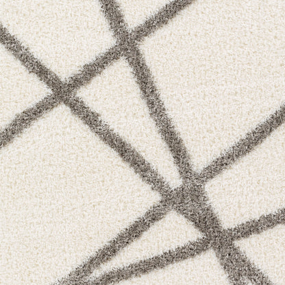 Cloudy Shag CDG-2316 6' x 9' Machine Woven Area Rug