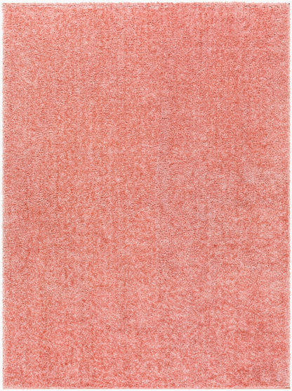 Cloudy Shag CDG-2321 5' x 7' Machine Woven Area Rug