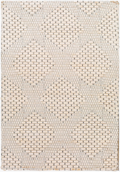 Colarado CDO-2300 2' x 3' Handmade Wool Accent Rug