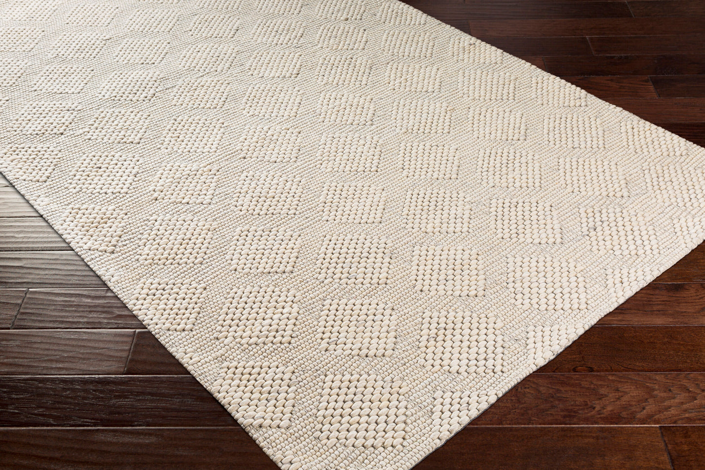 Colarado CDO-2300 2' x 3' Handmade Wool Accent Rug