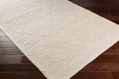 Colarado CDO-2300 2' x 3' Handmade Wool Accent Rug
