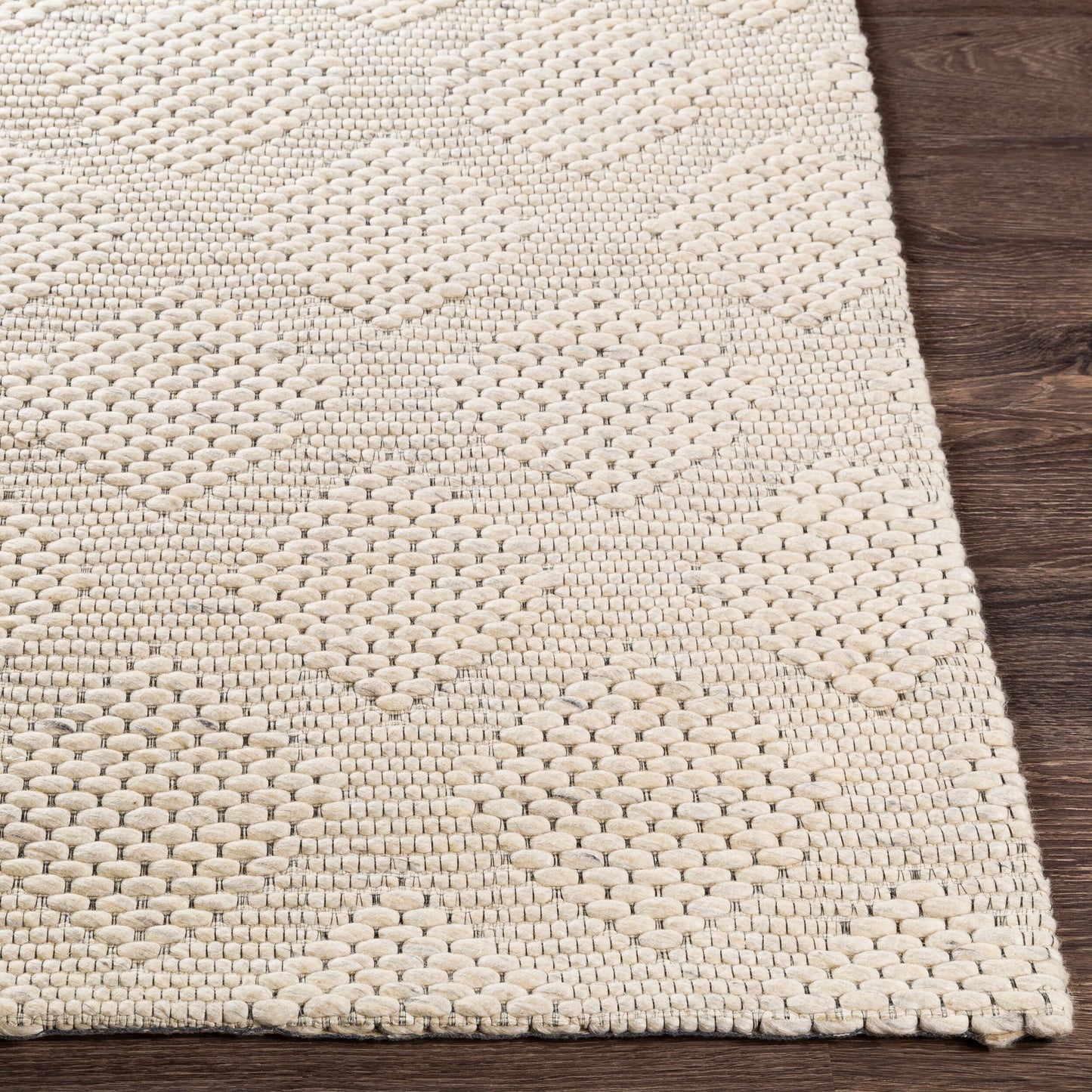 Colarado CDO-2300 2' x 3' Handmade Wool Accent Rug