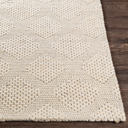Colarado CDO-2300 2' x 3' Handmade Wool Accent Rug
