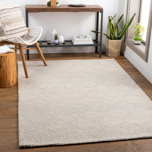 Colarado CDO-2300 2' x 3' Handmade Wool Accent Rug